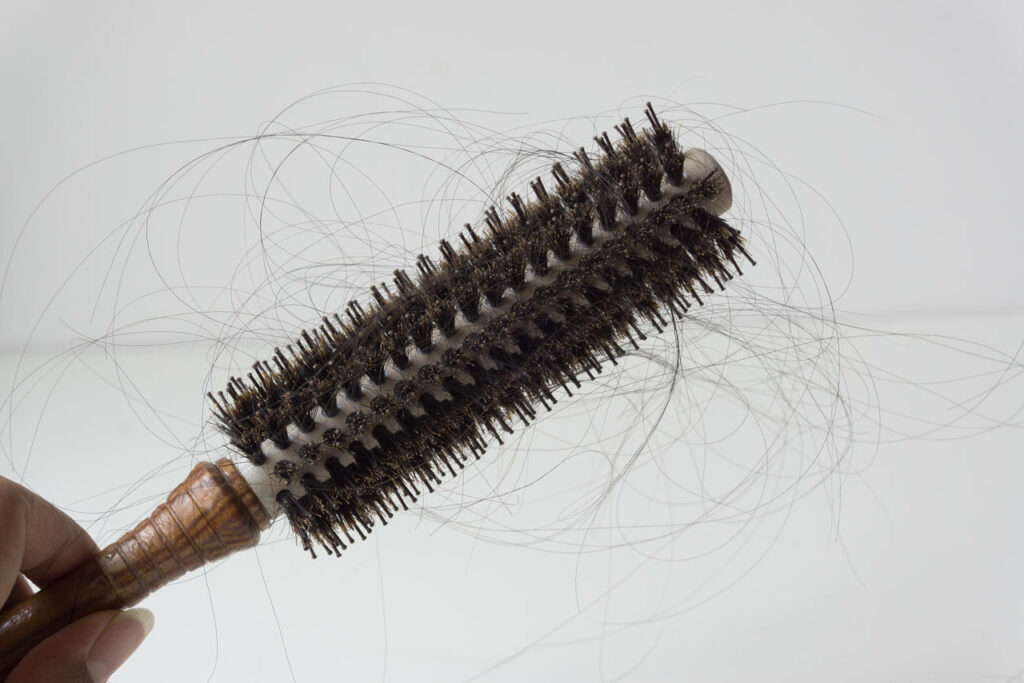 picture showing a brush with hairs