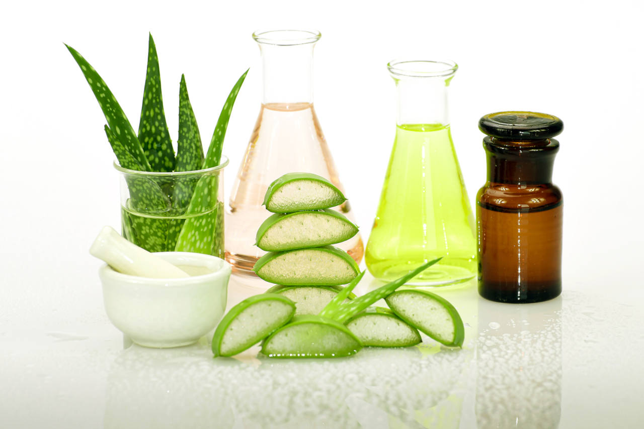 aloe vera can be used as a hair mask in order to prevent scalp infections