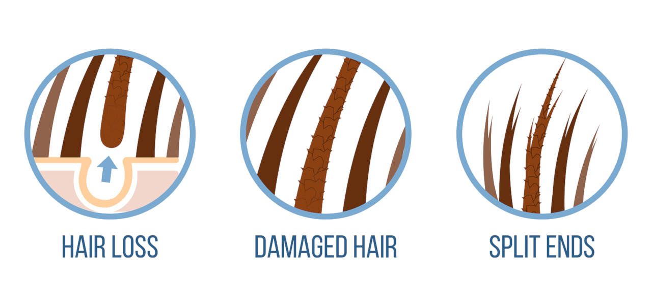 there are many different types of damaged hair issues