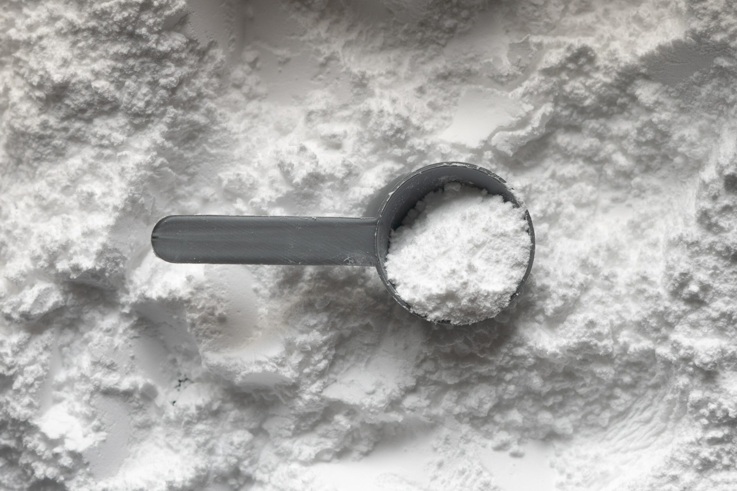 White creatine powder with one scoop full of powder