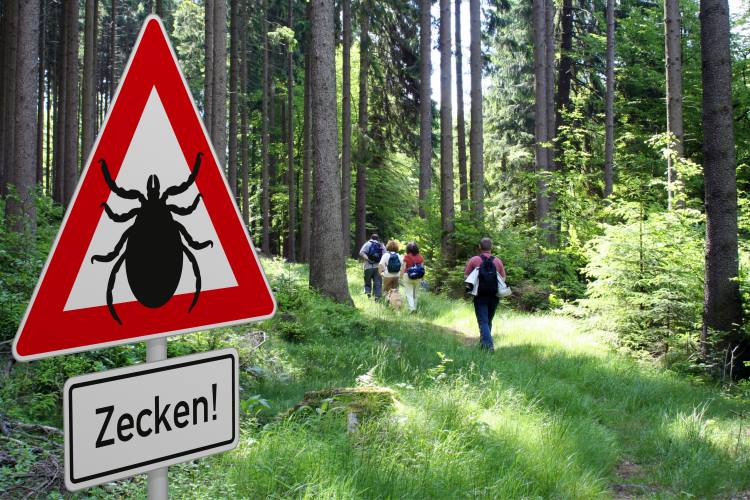 Schild mit Warnung vor Zecken im Wald mit einer Gruppe Wanderer